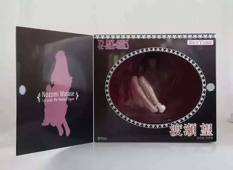 Japanese Amine Skytube Tony T2 Art Girls 16 scale painted Nozomi Watase 15cm PVC Action Figure sexy toy (4)