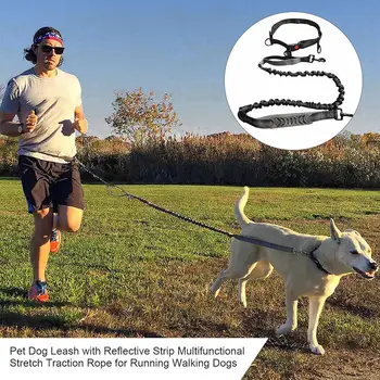 Dog Leash With Reflective Strip Dog Collar Multifunctional Stretch Traction Rope For Running Walking Dog Harness Pet Product
Dog Leash With Reflective Strip Dog Collar Multifunctional Stretch Traction Rope For Running Walking Dog Harness Pet Product