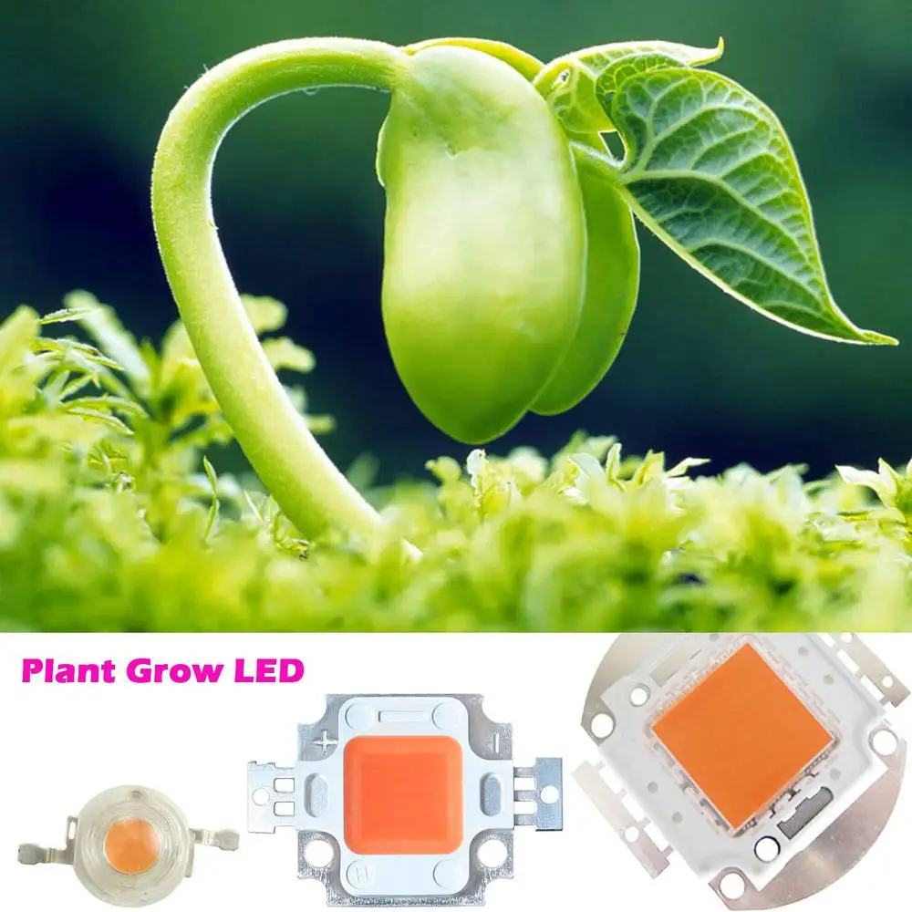 High Power 3W 10W 20W 30W 50W 100W full spectrum led Chip 385~840nm EPISLEDS for plant grow
High Power 3W 10W 20W 30W 50W 100W full spectrum led Chip 385~840nm EPISLEDS for plant grow