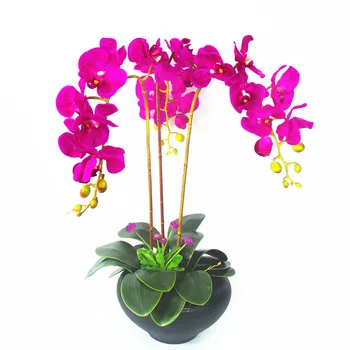 INDIGO 7pcs/Set Purple Flower Arrangment Orchid With Leaves Real Touch Flower Table Wedding Party Decorative Event Free Shipping
INDIGO 7pcs/Set Purple Flower Arrangment Orchid With Leaves Real Touch Flower Table Wedding Party Decorative Event Free Shipping