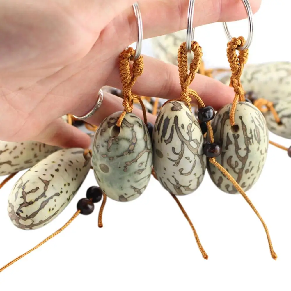 One Thousand Bodhi Keychain Good Luck Bodhi Car Ornaments Decoration Car Key Fob Natural Keychain
One Thousand Bodhi Keychain Good Luck Bodhi Car Ornaments Decoration Car Key Fob Natural Keychain