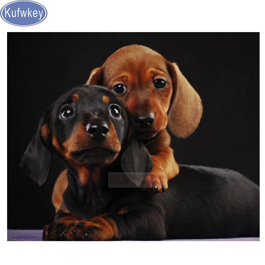 5d square round full drills mosaic Dachshund dog 3d Diamond painting animal Cross Stitch cute pet Mosaic Rhinestones Painting
5d square round full drills mosaic Dachshund dog 3d Diamond painting animal Cross Stitch cute pet Mosaic Rhinestones Painting
