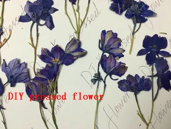 Pressed flower dried flower DIY material With sticks Blue Swallow sale 1 lot/10bags Free shipment
Pressed flower dried flower DIY material With sticks Blue Swallow sale 1 lot/10bags Free shipment