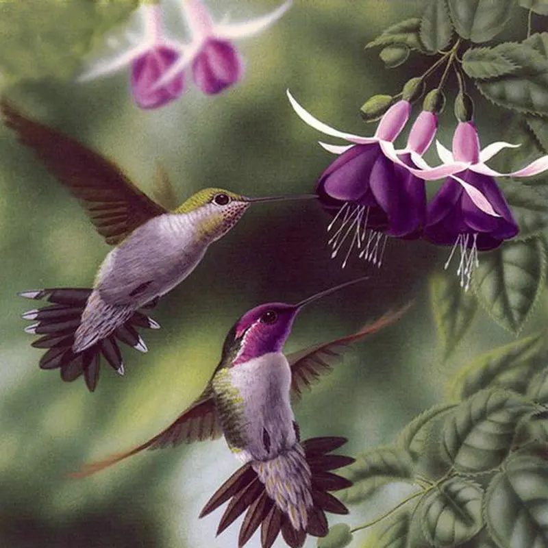 DIY Diamond Painting Cross Stitch hummingbird flower 5D Square Rhinestone Picture full Diamond Embroidery Mosaic Crafts Handmade
DIY Diamond Painting Cross Stitch hummingbird flower 5D Square Rhinestone Picture full Diamond Embroidery Mosaic Crafts Handmade