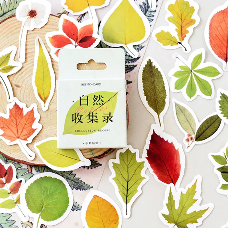 45pcs/box Creative Natural collection decoration stickers DIY decoration Stickers Diary Decoration Scrapbooking seal Sticker
45pcs/box Creative Natural collection decoration stickers DIY decoration Stickers Diary Decoration Scrapbooking seal Sticker