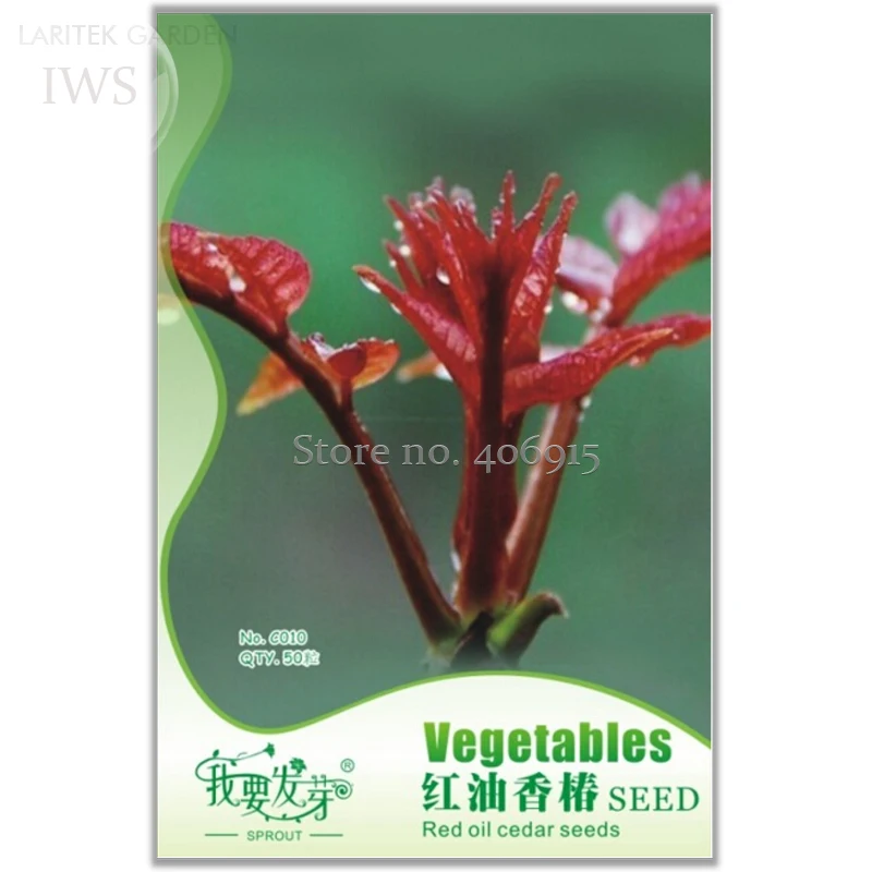 Chinese Toon Seeds Edible Red Oil Toon Sinensis Tree Seeds, Original Pack, 50 seeds, natural vegetable seeds IWSC010S