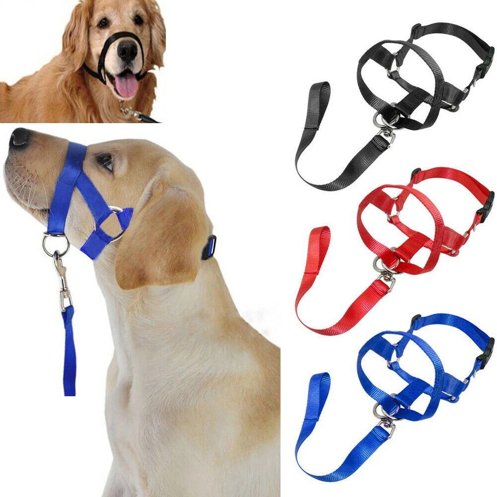 1pc Dog Pet Head Collar Gentle Halter Leash Leader No Pull Straps Dogs Pulling Muzzles 5 Sizes for Training Dogs
1pc Dog Pet Head Collar Gentle Halter Leash Leader No Pull Straps Dogs Pulling Muzzles 5 Sizes for Training Dogs