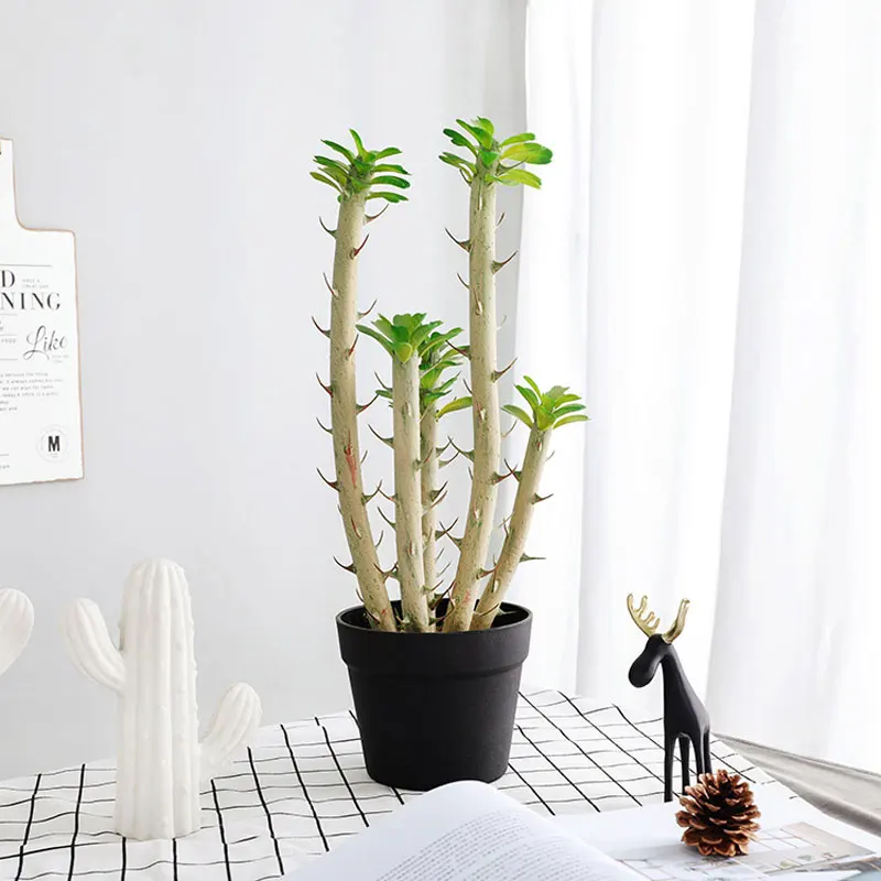 5pcs/set Artificial Cactus Plants Unpotted Decoration Artificial Succulents Bulk 30cm/36cm/52cm Fake Cactus Stems With Thorn
5pcs/set Artificial Cactus Plants Unpotted Decoration Artificial Succulents Bulk 30cm/36cm/52cm Fake Cactus Stems With Thorn