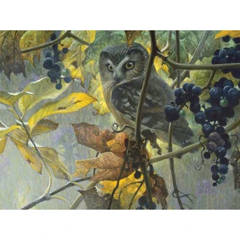 Owl Grape Tree 5d diy Diamond Painting Full Round Rhinestone Embroidery Diamonds Mosaic Kits Cross Stitch Art Wall Home Decor
Owl Grape Tree 5d diy Diamond Painting Full Round Rhinestone Embroidery Diamonds Mosaic Kits Cross Stitch Art Wall Home Decor