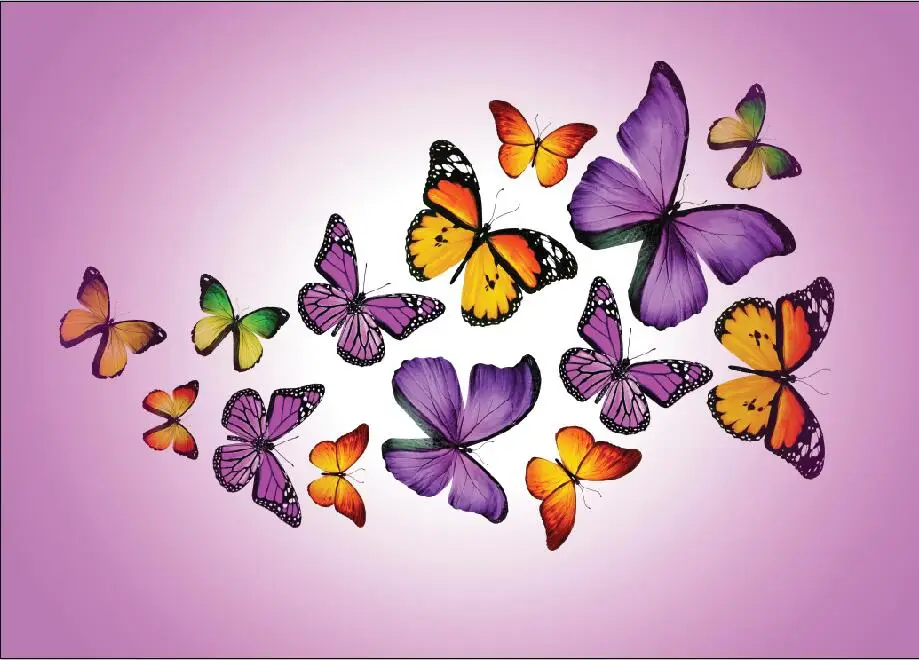 SHANNY Vinyl Custom Photography Backdrops Prop Butterfly theme Photo Studio Background 19128-14
SHANNY Vinyl Custom Photography Backdrops Prop Butterfly theme Photo Studio Background 19128-14