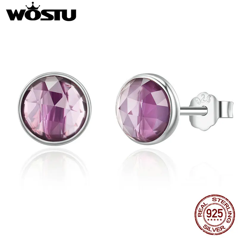 WOSTU Fashion New 925 Sterling Silver February Droplet Stud Earrings for Women Sterling Silver Jewelry Gift
WOSTU Fashion New 925 Sterling Silver February Droplet Stud Earrings for Women Sterling Silver Jewelry Gift