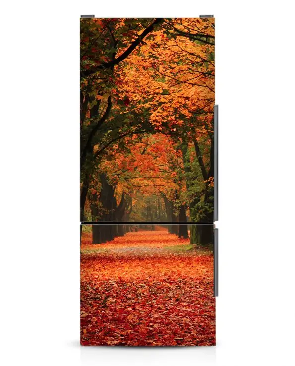 Autumn-bot-595x738
