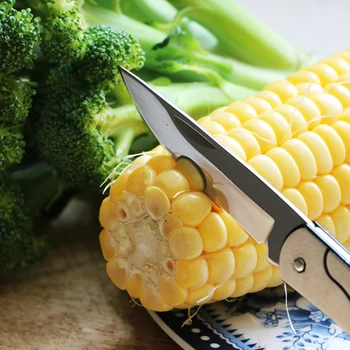 Free shipping Stainless steel fruit knife pocket folding key knife fruit sharpener kitchen tool small tool
Free shipping Stainless steel fruit knife pocket folding key knife fruit sharpener kitchen tool small tool