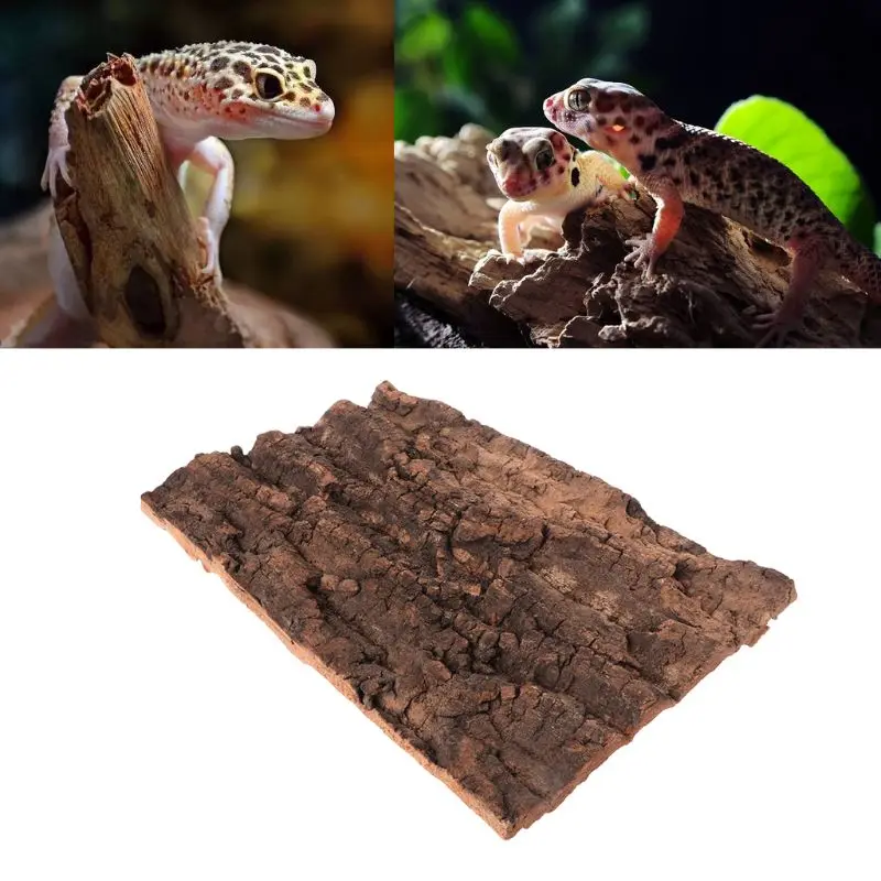 30x20cm Champagne Cork Bark Reptile Breeding Box Pet Spider Hiding Climbing Reptiles & Amphibians Habitat Decor Supplies C42
30x20cm Champagne Cork Bark Reptile Breeding Box Pet Spider Hiding Climbing Reptiles & Amphibians Habitat Decor Supplies C42
