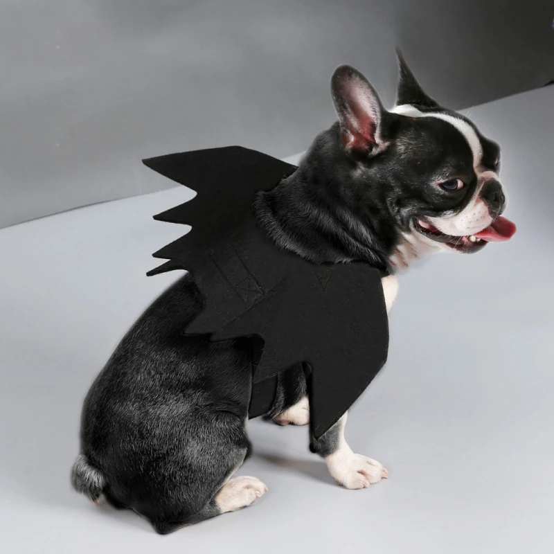 Funny Cute Pet Costume Cosplay Bat Wings for Cat Halloween Clothes Fancy Dress Dogs Cats Playing Pet Accessories
Funny Cute Pet Costume Cosplay Bat Wings for Cat Halloween Clothes Fancy Dress Dogs Cats Playing Pet Accessories