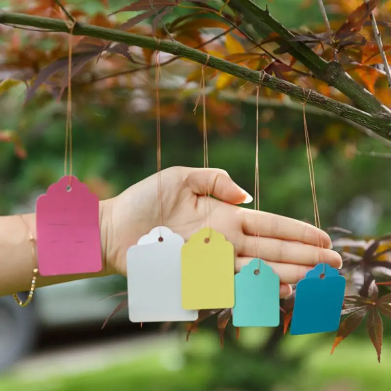 100Pcs Garden Greenhouse Tags Plastic Plant Labels Waterproof Tree Markers Signs with Hanging Rope Plant Markers Garden Supplies
100Pcs Garden Greenhouse Tags Plastic Plant Labels Waterproof Tree Markers Signs with Hanging Rope Plant Markers Garden Supplies