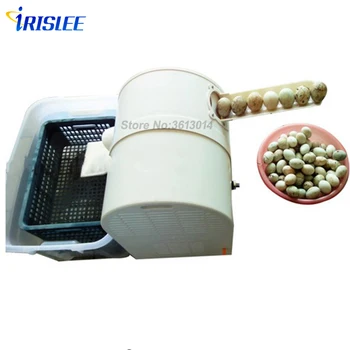 Electric Egg washing machine chicken duck goose egg washer 2400 pcs/h poultry farm equipment egg cleaner wash machine
Electric Egg washing machine chicken duck goose egg washer 2400 pcs/h poultry farm equipment egg cleaner wash machine