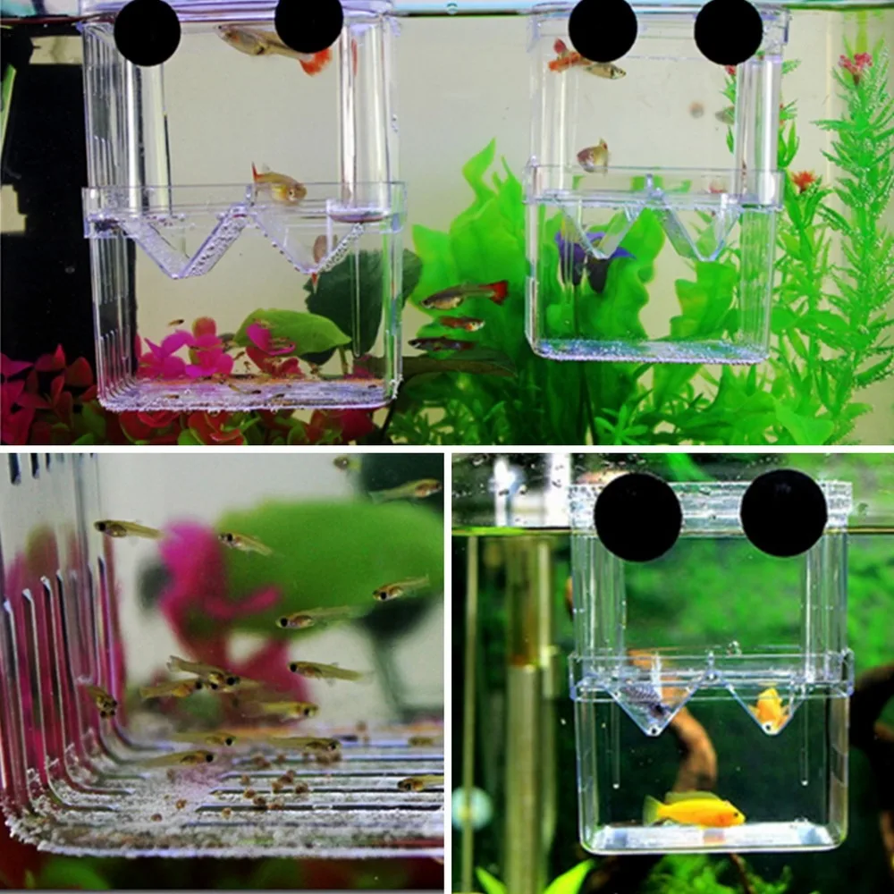 1pcs Multifunctional Fish Breeding Isolation Box Incubator for Fish Tank Aquarium Accessory Incubator Box Tank suction cups
1pcs Multifunctional Fish Breeding Isolation Box Incubator for Fish Tank Aquarium Accessory Incubator Box Tank suction cups