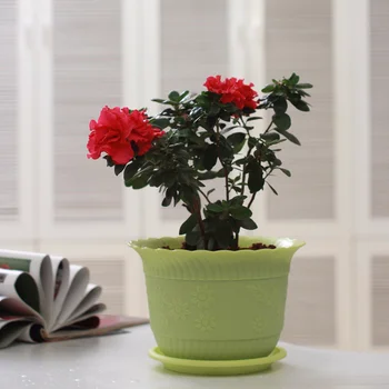 Colorful Lace Succulent Resin Round Flower Potnursery Pots Planter Home Garden Decor Small Flower Pot
Colorful Lace Succulent Resin Round Flower Potnursery Pots Planter Home Garden Decor Small Flower Pot
