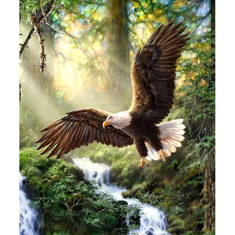 New Hot DIY Diamond Painting "Flying Eagle" full drill home decor Painting Cross Stitch Embroidery Mosaic picture KBL
New Hot DIY Diamond Painting "Flying Eagle" full drill home decor Painting Cross Stitch Embroidery Mosaic picture KBL