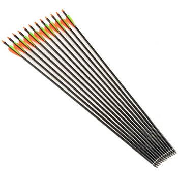New Arrival Practical Hunting Shooting Top Sell 762mm Archery Fiberglass Arrows with Changeable Arrowheads and Plastic Feathers
New Arrival Practical Hunting Shooting Top Sell 762mm Archery Fiberglass Arrows with Changeable Arrowheads and Plastic Feathers