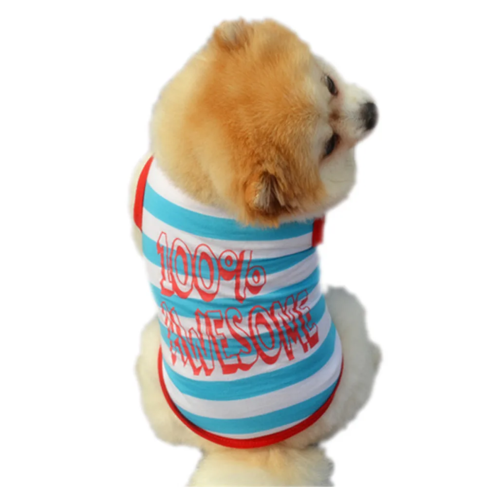 My House Cute Summer dog vest Pet Puppy Small Dog Cat Pet Clothes Vest T Shirt Apparel pechera para perro
My House Cute Summer dog vest Pet Puppy Small Dog Cat Pet Clothes Vest T Shirt Apparel pechera para perro