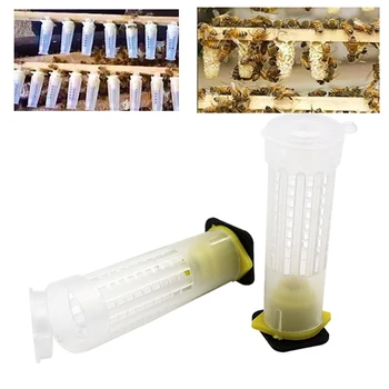 5PCS Bee Queen Cage Protection Rearing Breeding King Plastic Abutment Bees Cages Equipment Beekeeping Tools Insectary Box Tools
5PCS Bee Queen Cage Protection Rearing Breeding King Plastic Abutment Bees Cages Equipment Beekeeping Tools Insectary Box Tools