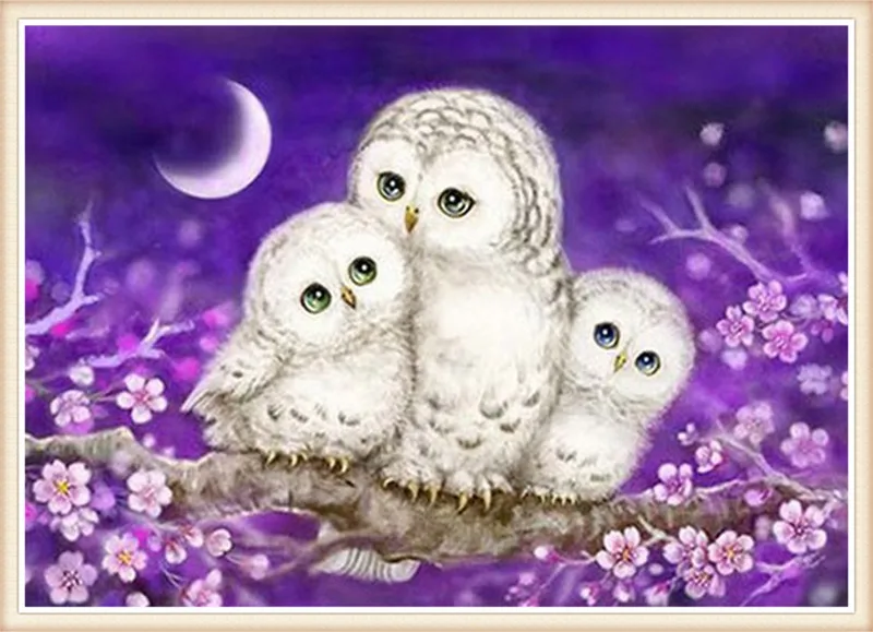 DIY Diamond Painting Lovely Owl animal cube drill Cross Stitch Diamond Mosaic Diamond Embroidery Patterns Rhinestones
DIY Diamond Painting Lovely Owl animal cube drill Cross Stitch Diamond Mosaic Diamond Embroidery Patterns Rhinestones
