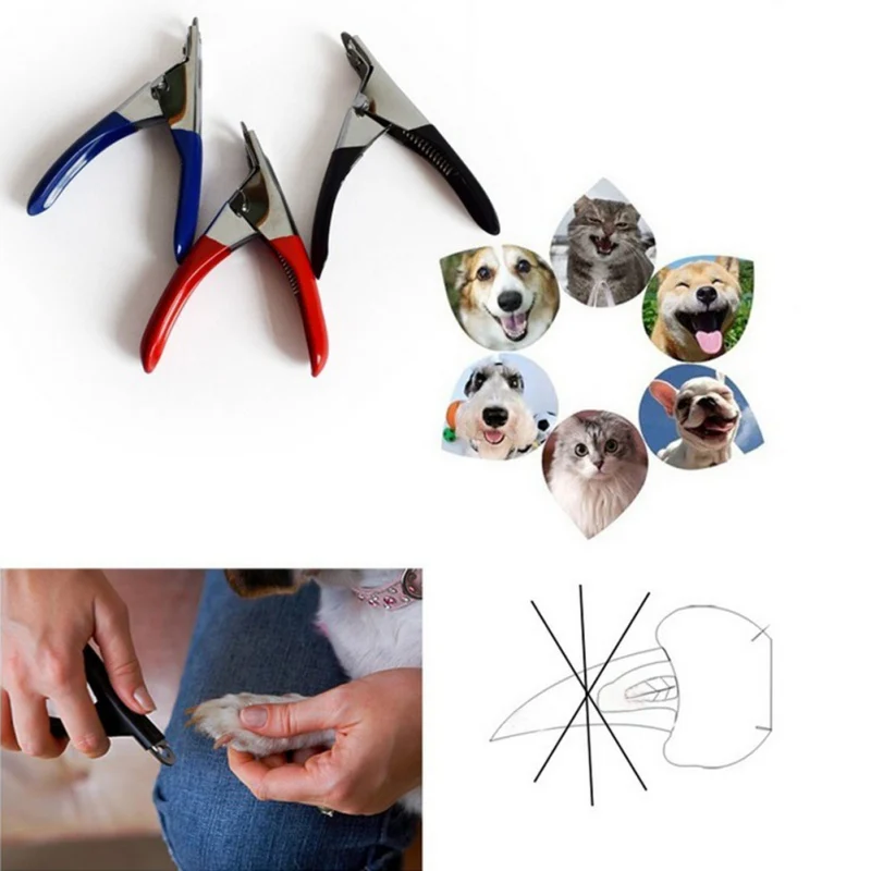 Pet Dogs Cats Toe Care Nail Clippers Stainless Steel Claw Nail Grooming Clippers File Portable Scissors Trim Dog Nail Cutters
Pet Dogs Cats Toe Care Nail Clippers Stainless Steel Claw Nail Grooming Clippers File Portable Scissors Trim Dog Nail Cutters