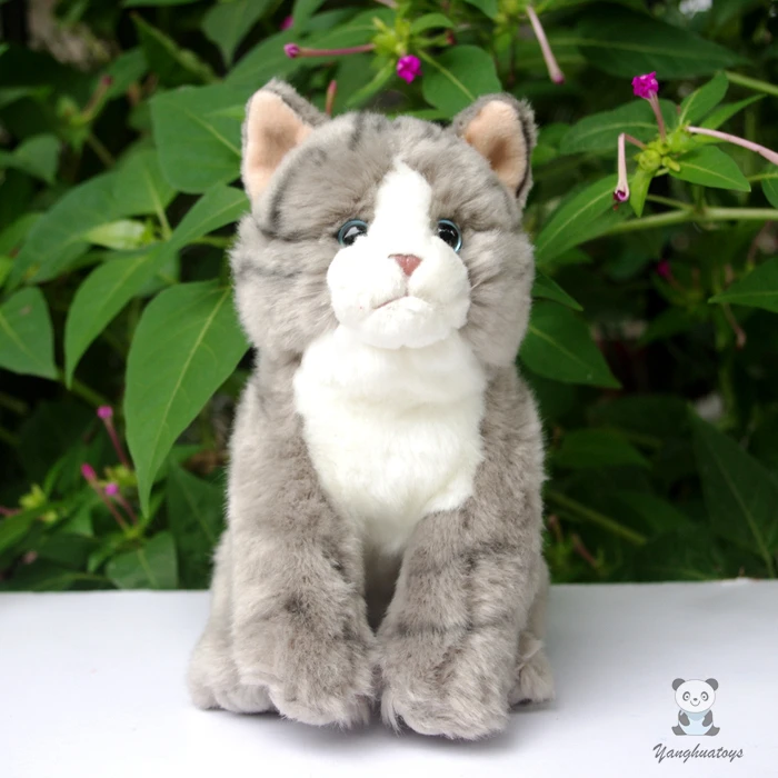 Плюшевая кукла-кошка, игрушка для девочек, серые Коты, игрушки для детей, подарок на день рождения, магазины игрушек
Плюшевая кукла-кошка, игрушка для девочек, серые Коты, игрушки для детей, подарок на день рождения, магазины игрушек