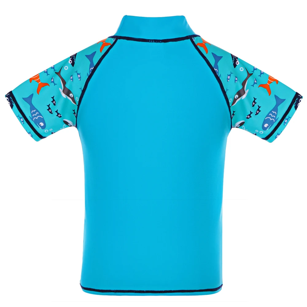 S249_Blue_3