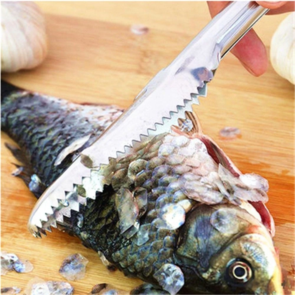 1PC Stainless Steel Cleaning Fish Scale Knife Fish Skin Scraper Peeler Remover Scaler Brush Seafood Tools Kitchen Gadgets
1PC Stainless Steel Cleaning Fish Scale Knife Fish Skin Scraper Peeler Remover Scaler Brush Seafood Tools Kitchen Gadgets