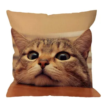 Cat Pillow Cover Decorative Curious Cute Cat Look At You With Eager Eyes On Table Square Pillow Case for Men/Women/Kids 18x18 in
Cat Pillow Cover Decorative Curious Cute Cat Look At You With Eager Eyes On Table Square Pillow Case for Men/Women/Kids 18x18 in