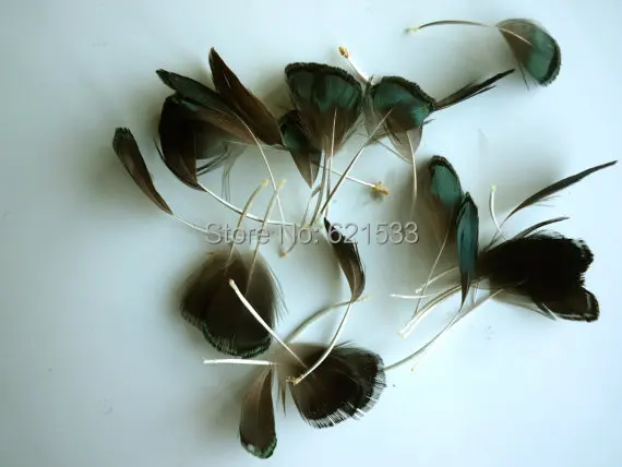100Pcs/lot,4-7CM Shredded LADY AMHERST Iridescent Green Pheasant Feathers,Loose Stripped Lady Amherst feathers,Small Feathers
100Pcs/lot,4-7CM Shredded LADY AMHERST Iridescent Green Pheasant Feathers,Loose Stripped Lady Amherst feathers,Small Feathers