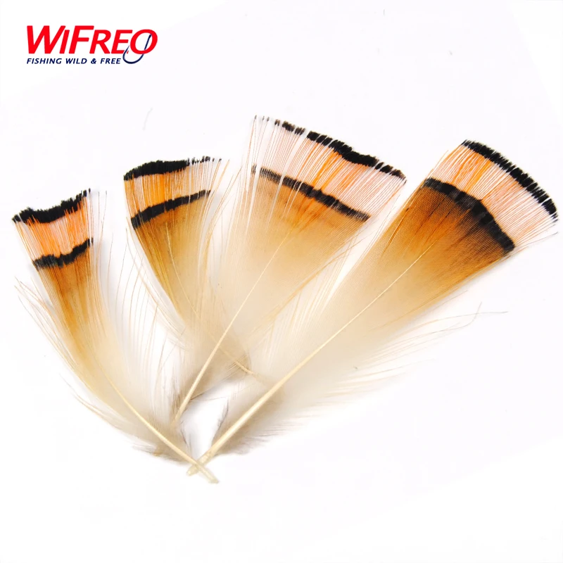 50PCS Natural Color Golden Pheasant Head Crest Feather Fly Tying Coachman Tailling Material Wifreo Brand
50PCS Natural Color Golden Pheasant Head Crest Feather Fly Tying Coachman Tailling Material Wifreo Brand