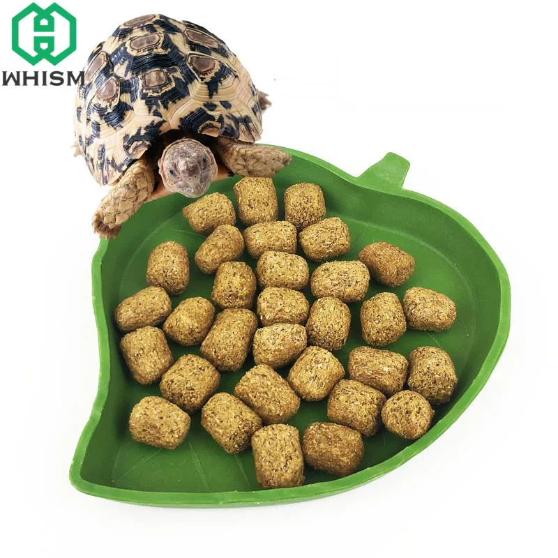WHISM Plastic Reptile Feeder Dish Turtle Tortoise Food Bowl Water Fountain Basin Terrarium Lizard Feeder for Amphibians Aquarium
WHISM Plastic Reptile Feeder Dish Turtle Tortoise Food Bowl Water Fountain Basin Terrarium Lizard Feeder for Amphibians Aquarium