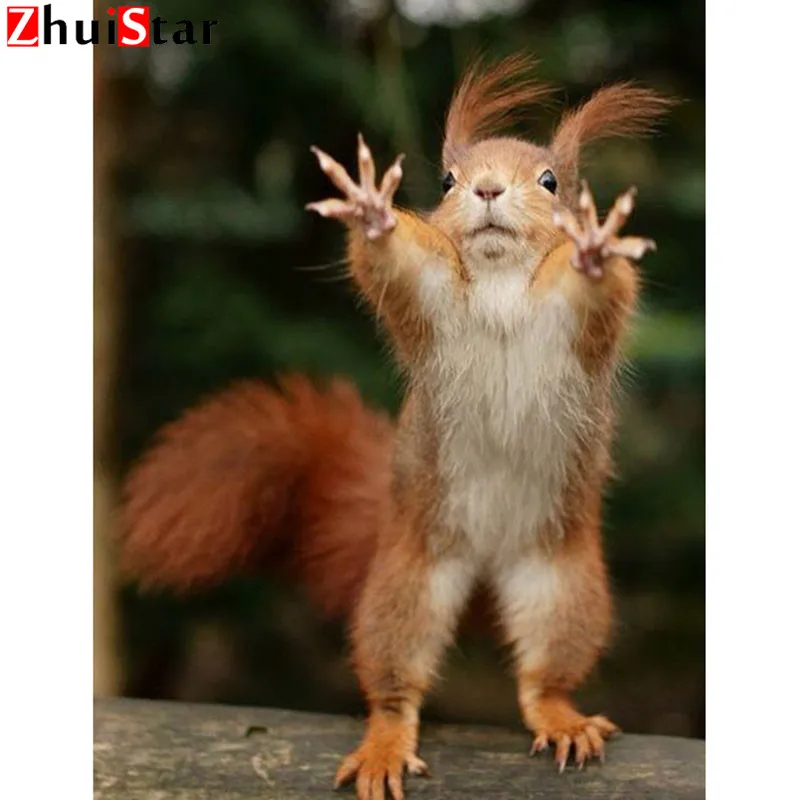 100% Full Square DIY 5D Diamond Painting animal squirrel Cross Stitch Diamond Embroidery Patterns rhinestones Diamond Mosaic XY1
100% Full Square DIY 5D Diamond Painting animal squirrel Cross Stitch Diamond Embroidery Patterns rhinestones Diamond Mosaic XY1