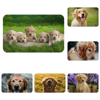 Golden Retriever Dog Pet Doggy Friends Mat Bath Carpet Decorative Anti-Slip Mats Room Car Floor Bar Rugs Door Home Decor Gift
Golden Retriever Dog Pet Doggy Friends Mat Bath Carpet Decorative Anti-Slip Mats Room Car Floor Bar Rugs Door Home Decor Gift