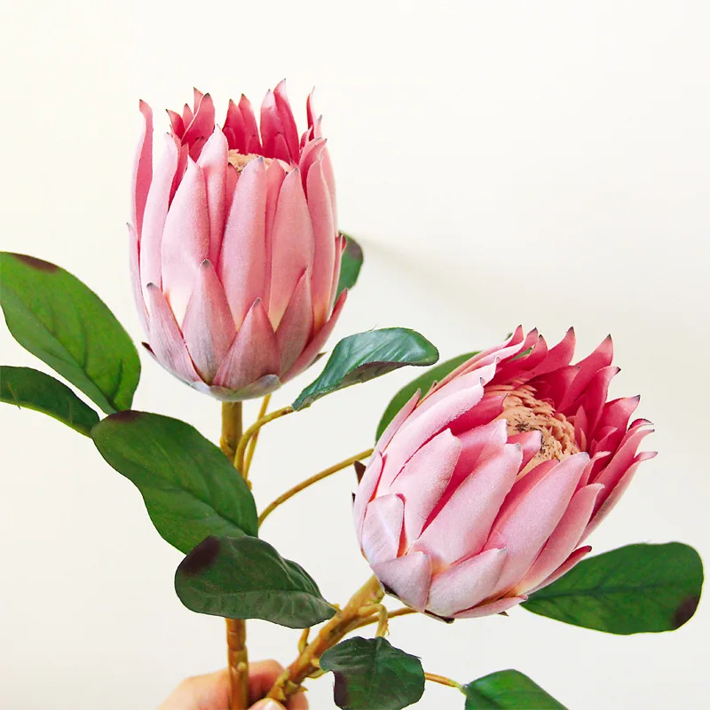 1pcs Single Emperor Flower 5 Colors Choose Artificial Flower European Style Wedding Decoration For Home Garden Hotel Decor
1pcs Single Emperor Flower 5 Colors Choose Artificial Flower European Style Wedding Decoration For Home Garden Hotel Decor