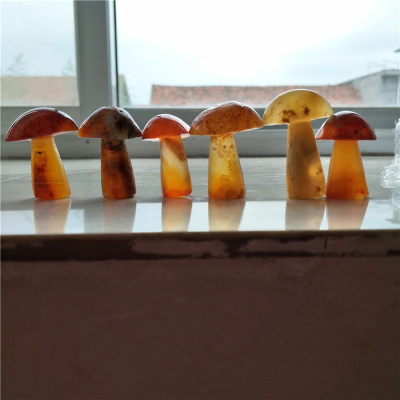 6 natural carnelian crystal mushroom hand carved cute lovely gift natural stones and minerals mushroom gemstone mushroom
6 natural carnelian crystal mushroom hand carved cute lovely gift natural stones and minerals mushroom gemstone mushroom