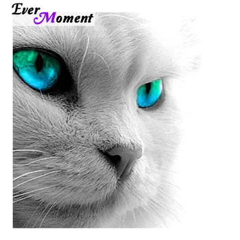 Ever Moment Diamond Painting Embroidery Cross Stitch Beadwork White Cat with Blue Eyes Animal 5D Needlework DIY Craft ASF608
Ever Moment Diamond Painting Embroidery Cross Stitch Beadwork White Cat with Blue Eyes Animal 5D Needlework DIY Craft ASF608