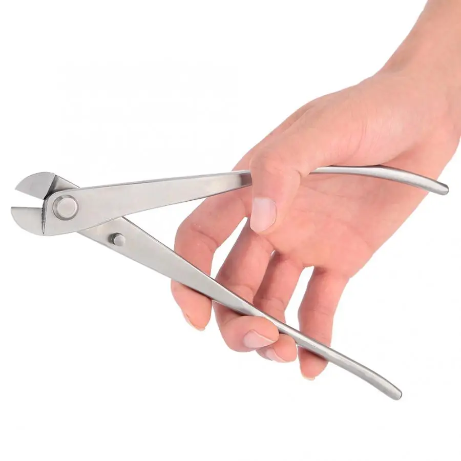 210mm Stainless Steel Round Edge Stainless Steel Garden Pruning Shears Branches Cutter Scissors Bonsai Tool
210mm Stainless Steel Round Edge Stainless Steel Garden Pruning Shears Branches Cutter Scissors Bonsai Tool