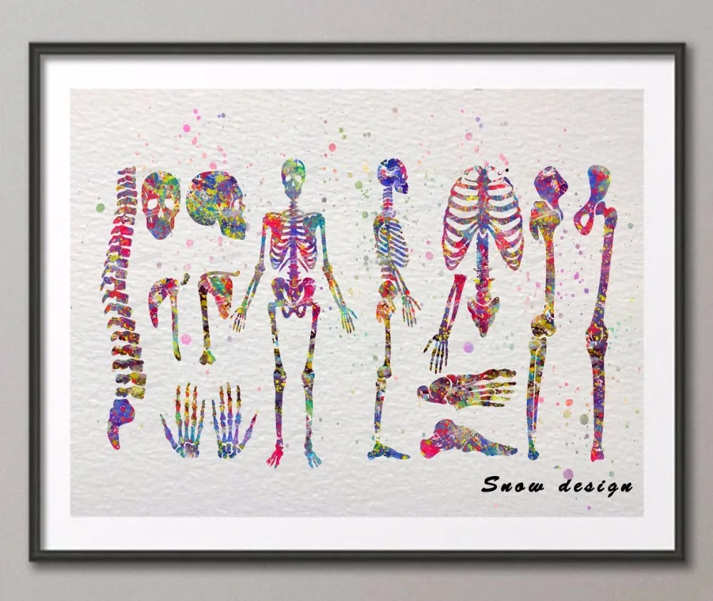 Original Watercolor Human Body skeletal system poster print Pictures wall art canvas NON diamond painting Wedding decoration
Original Watercolor Human Body skeletal system poster print Pictures wall art canvas NON diamond painting Wedding decoration