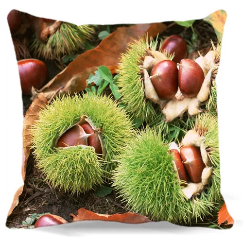 Home car sofa Decorative Throw Cushion cover Burst open of Chinese chestnut rice Soft Square Pillows case Cotton polyester
Home car sofa Decorative Throw Cushion cover Burst open of Chinese chestnut rice Soft Square Pillows case Cotton polyester