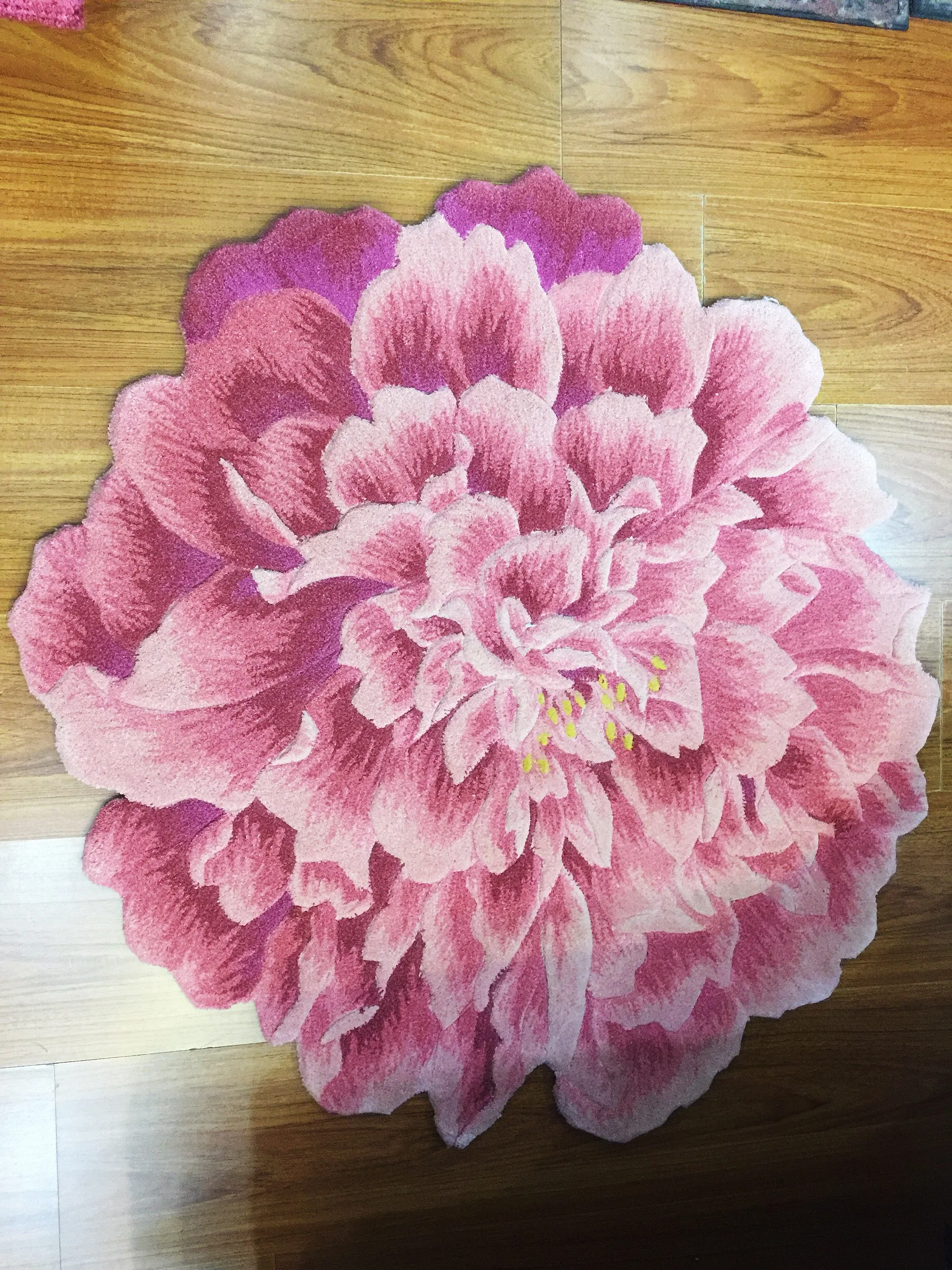 Gradient pink 3D simulation flower wool carpet rugs Living room coffee table bedroom mat hanging basket round blanket rug
Gradient pink 3D simulation flower wool carpet rugs Living room coffee table bedroom mat hanging basket round blanket rug