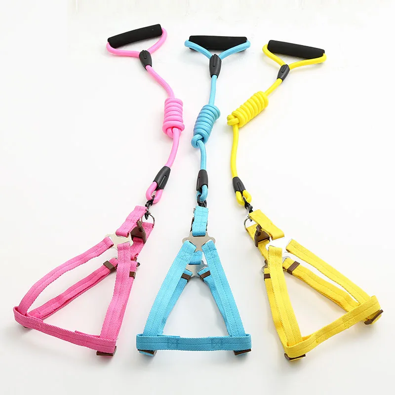 Nylon Dog Training Leash Dogs P Chain Pet Slip Collar Rolled Slip Lead Small Dogs Walking Leads Rope Adjustable Breathable Chain
Nylon Dog Training Leash Dogs P Chain Pet Slip Collar Rolled Slip Lead Small Dogs Walking Leads Rope Adjustable Breathable Chain