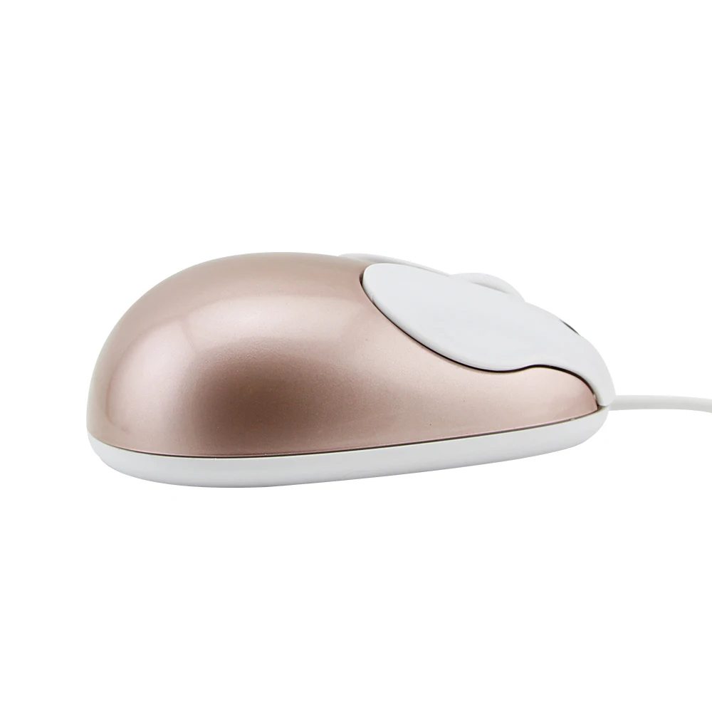 computer mouse