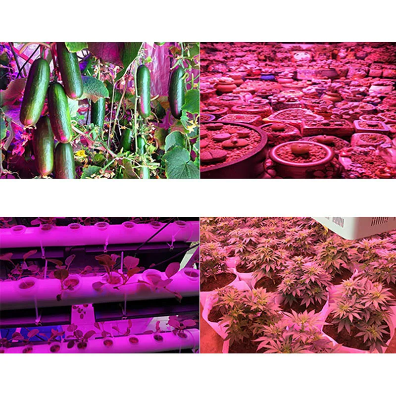Plant Growth Light Honeycomb Heat Dissipation LED Waterproof Full Spectrum Growth Lamp MJJ88
Plant Growth Light Honeycomb Heat Dissipation LED Waterproof Full Spectrum Growth Lamp MJJ88
