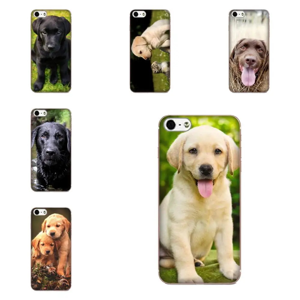 Soft TPU Coque Case For Xiaomi Redmi Mi Note 7 8 9 SE Pro Lite Go Play Puppy Labrador Retriever Dog Tpu
Soft TPU Coque Case For Xiaomi Redmi Mi Note 7 8 9 SE Pro Lite Go Play Puppy Labrador Retriever Dog Tpu