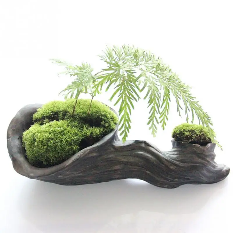 New Moss Live Cushion Reptile Terrarium DIY Decor pure natural Moss bonsai Forest paving cylinder landscaping Garden Accessories
New Moss Live Cushion Reptile Terrarium DIY Decor pure natural Moss bonsai Forest paving cylinder landscaping Garden Accessories